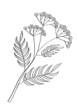 fleurs-milieu fleurs-milieu