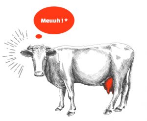 vache-meuh