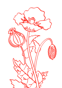 fleur-bloc-vous-etes-concours fleur-bloc-vous-etes-concours