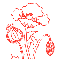 fleurs-crop fleurs-crop