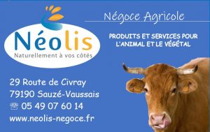 Encart Neolis (002)