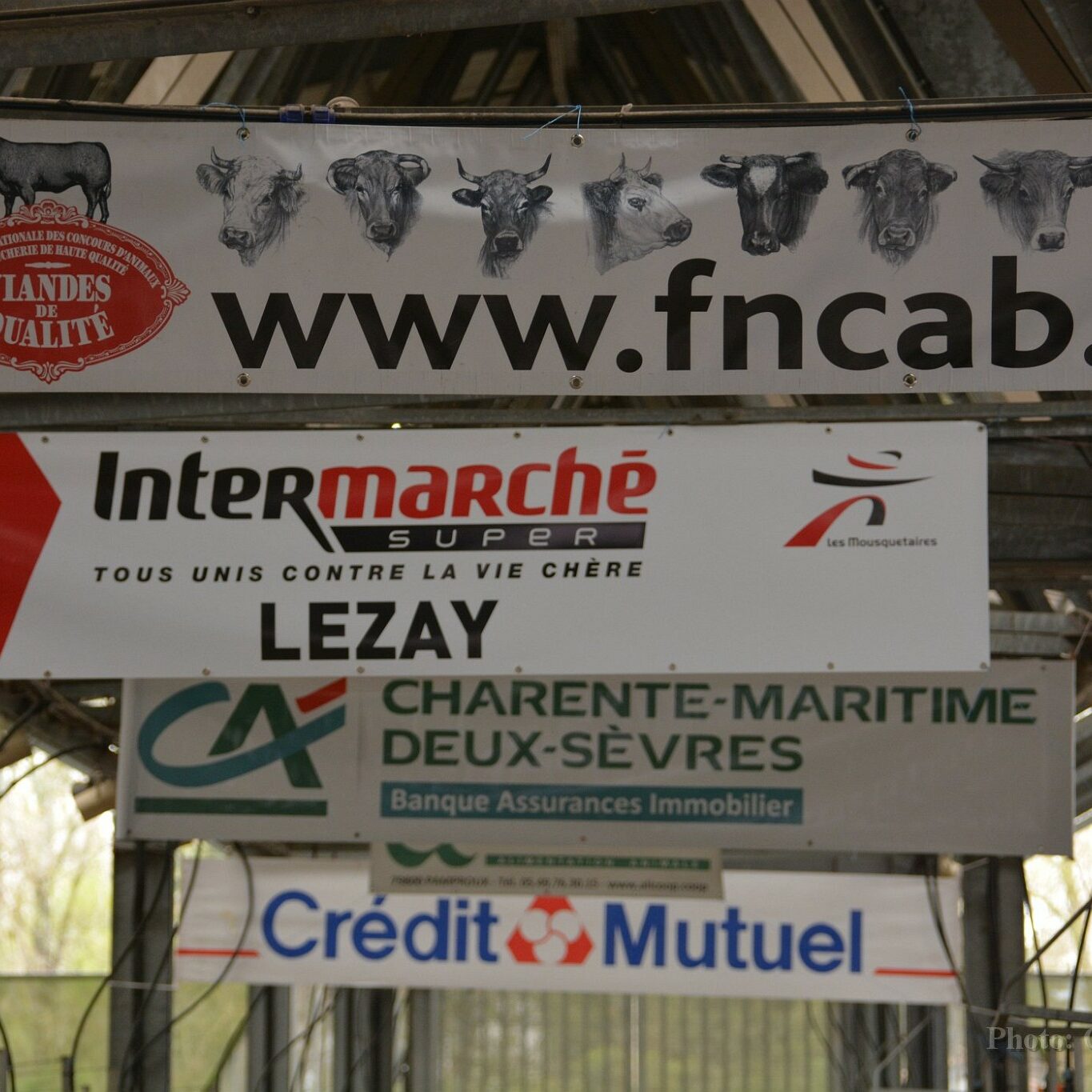 DSC_8301 DSC_8301